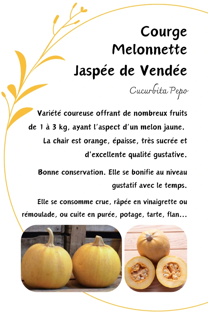 Jaspée de Vendée.webp