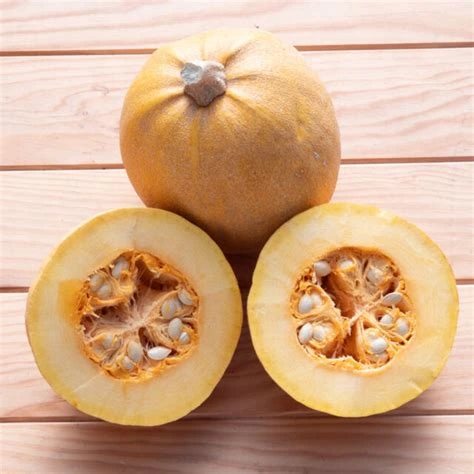 melonette photo1.webp