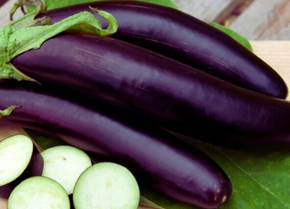 barbentane photo1.webp