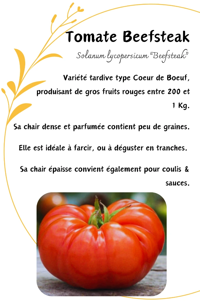 tomate beefsteak.webp