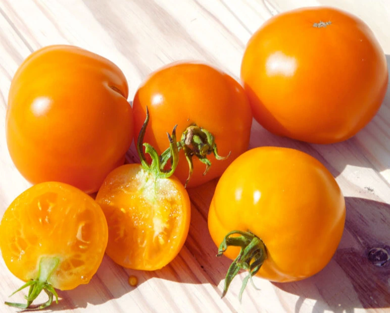 caro rich photo4.webp