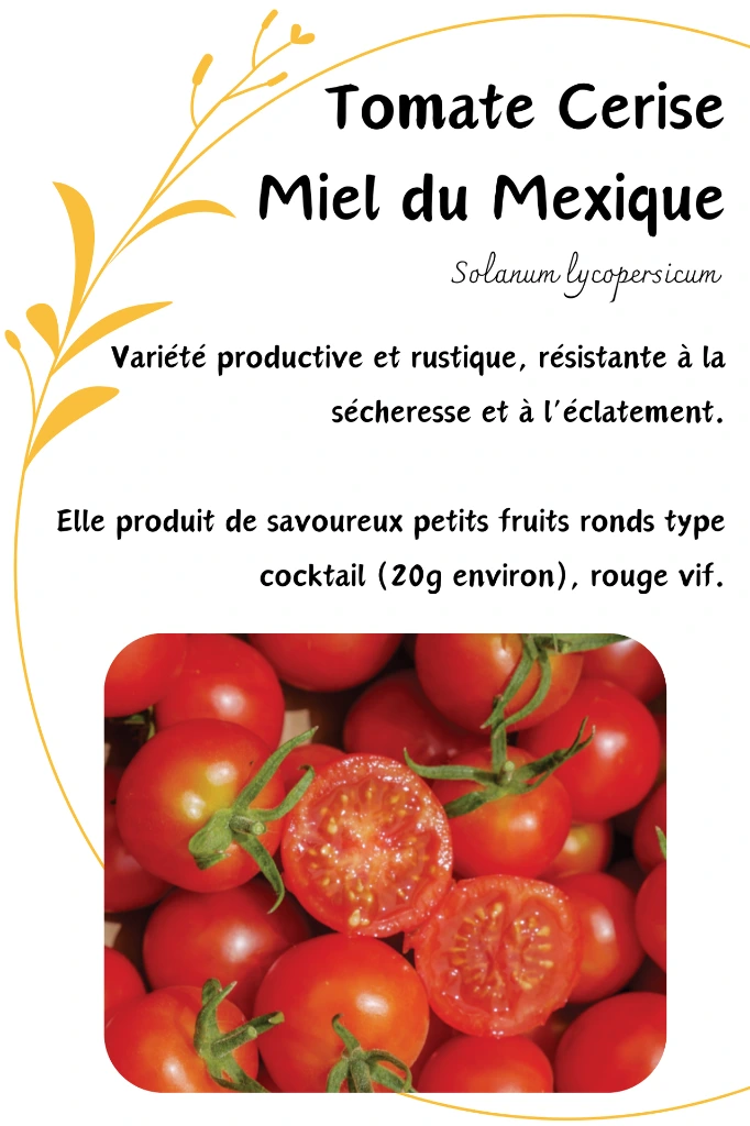 miel du mexique.webp