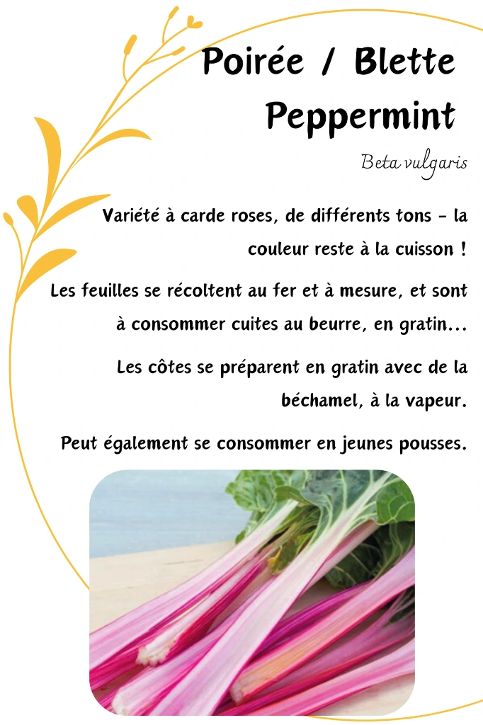 blette peppermint.webp