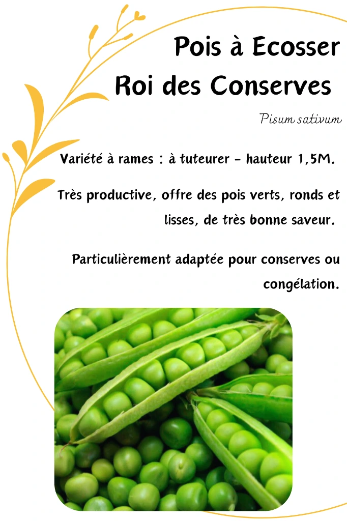 pois roi des conserves.webp