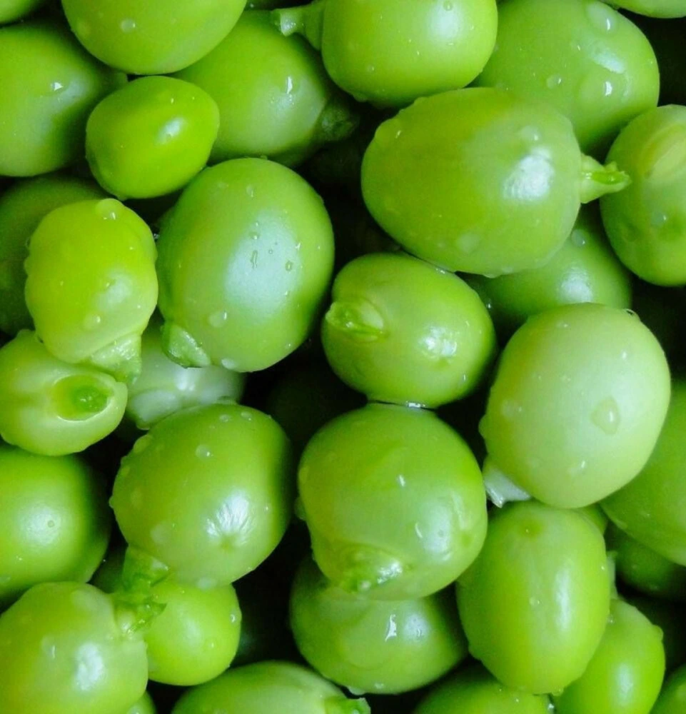 pois roi conserves4.webp