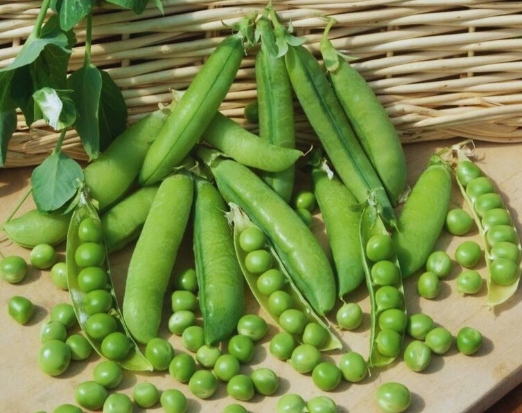 pois roi conserves3.webp