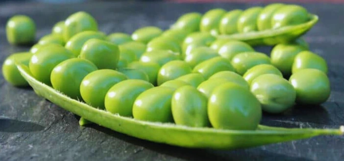 pois douce provence4.webp