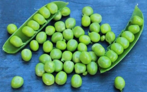 pois douce provence3.webp