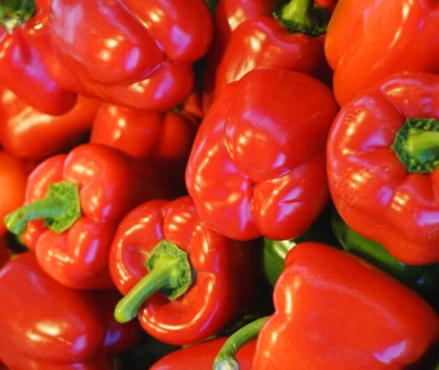 poivron rouge esp2.webp