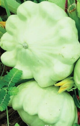 p2111-1 - Modifié.webp