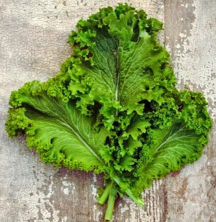 green wave photo1.webp