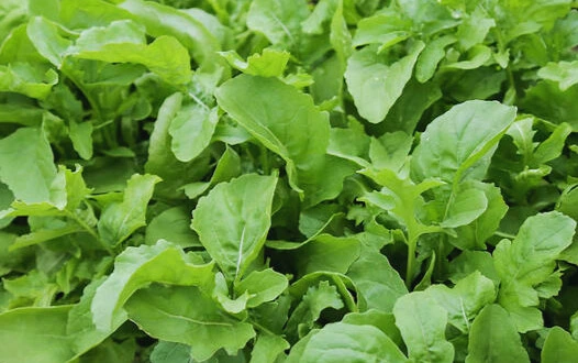 28290007R02410270.Indd - Modifié.webp