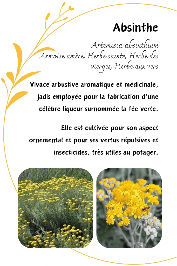 absinthe.webp