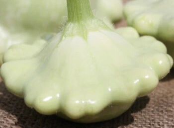 Pâtisson Vert Pâle - Godet 10.5cm