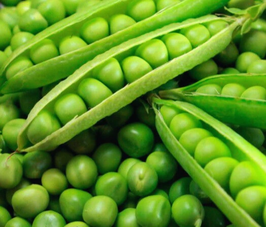 Pois à Écosser - Roi des Conserves