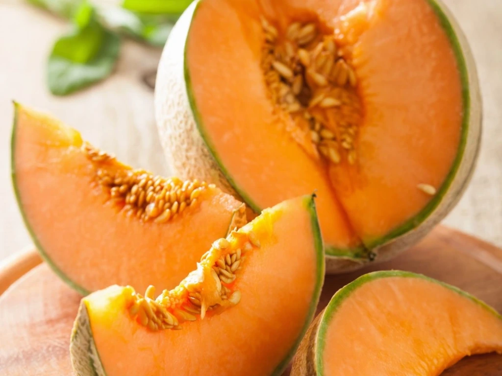 Melon Charentais - Godet 8 cm
