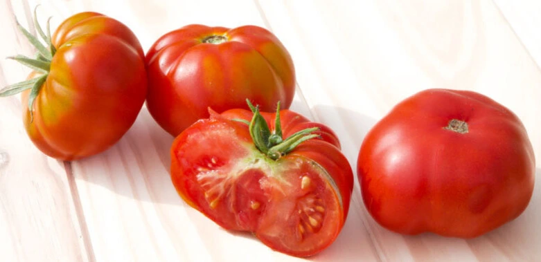 Tomate Reine des Hâtives - Godet 8 cm