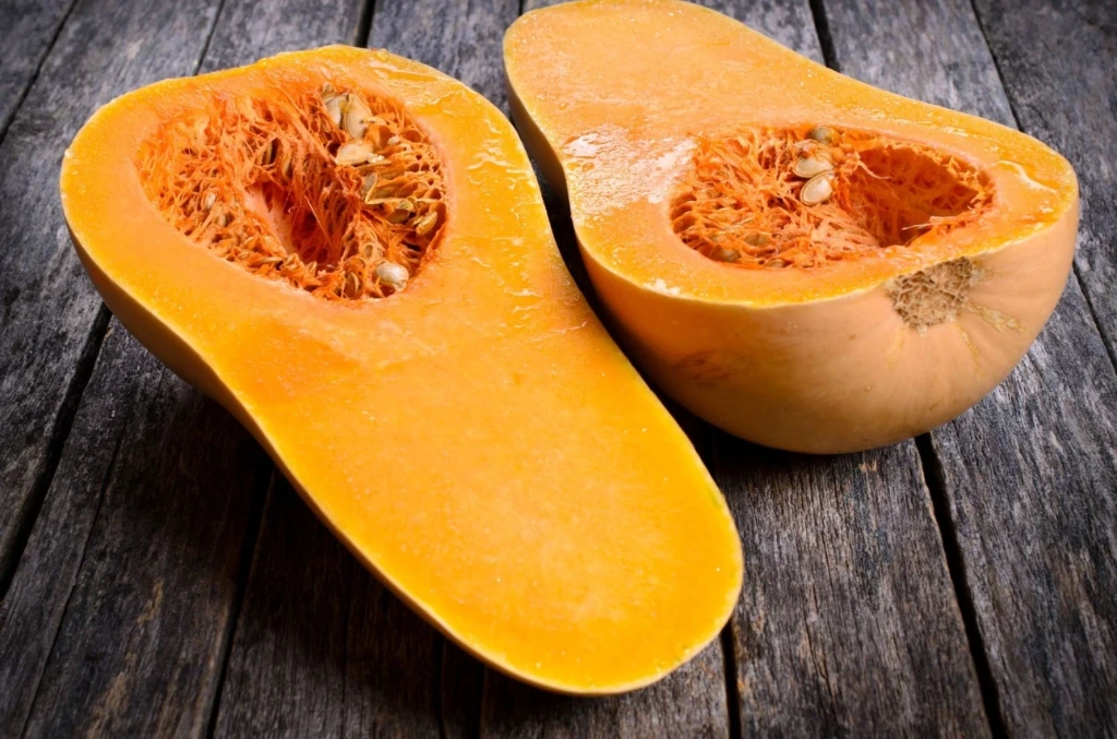 Courge Butternut - Godet 10.5cm